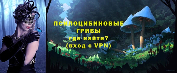 мет Абаза