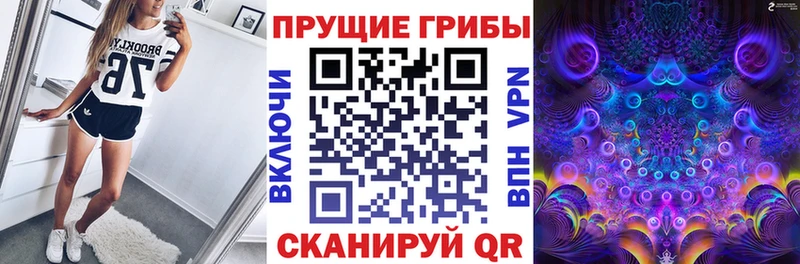 Псилоцибиновые грибы прущие грибы  где купить наркотик  Новая Усмань 